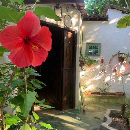 Praia de Pipa Conjunto Sol Rootsヴィラ エクステリア 写真